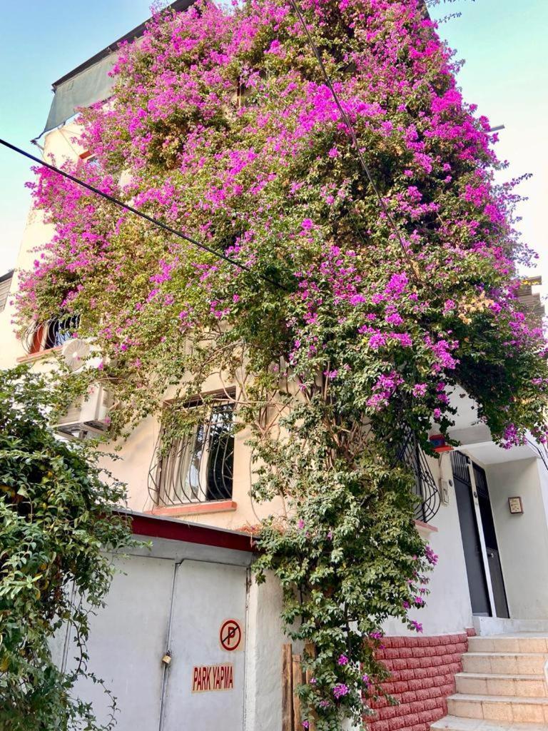 Small House Apartment