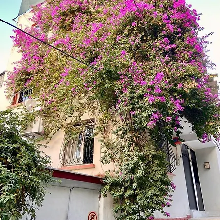 Small House İzmir Extérieur photo